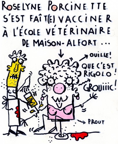 porcinette384.jpg